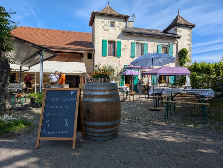 Journées caves ouvertes et Tomme au Marc  9 & 11 octobre 2025
