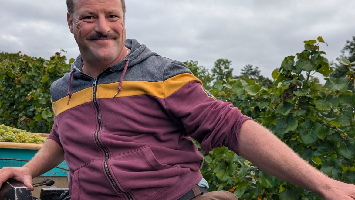 Vive les vendanges !!!