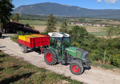 On arrive au bout des vendanges 2026 !!!