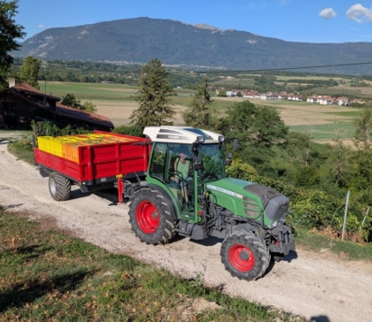 On arrive au bout des vendanges 2026 !!!