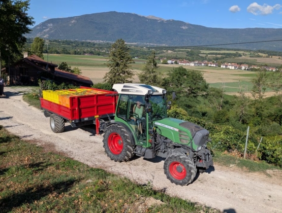 On arrive au bout des vendanges 2026 !!!