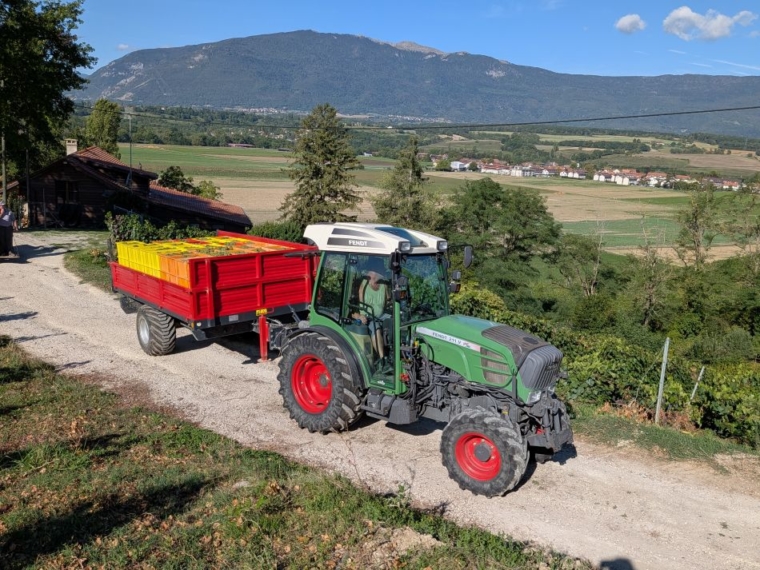 On arrive au bout des vendanges 2026 !!!