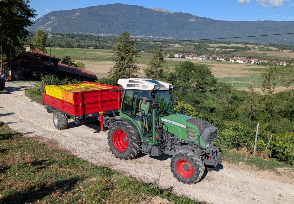 On arrive au bout des vendanges 2026 !!!